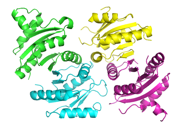 The protein structure of a Universal Stress Protein found in Haemophylus influenzae Haemophylus influenzae USP.png