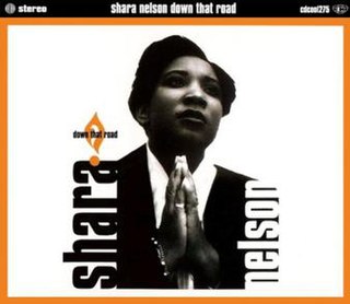 Down That Road 1993 single by Shara Nelson