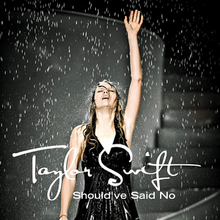Taylor Swift - Should've Said No artwork.png
