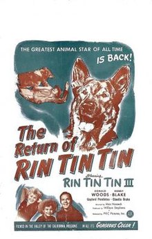 Rin Tin Tin Dönüşü poster.jpg