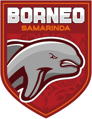 <span class="mw-page-title-main">Borneo F.C. Samarinda</span> Association football team in Indonesia