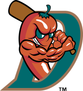 El Paso Diablos Minor League Baseball team