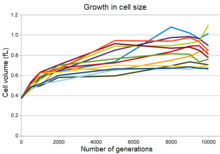 Growth in cell size of bacteria in the Lenski experiment Lenski10.png