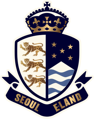 <span class="mw-page-title-main">Seoul E-Land FC</span> South Korean association football club