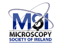 Logo MSI. Gif