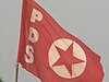 Pds flag.jpg