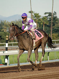 GreatHunterRobertLewisStakes2007.jpg