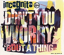 Incognito-Don't You Worry bout a Thing.jpg