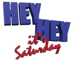 New Hey Hey It's Saturday Logo.png