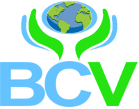 BC Vision logo.png