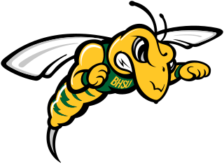 <span class="mw-page-title-main">Black Hills State Yellow Jackets</span> Black Hills State University athletic teams
