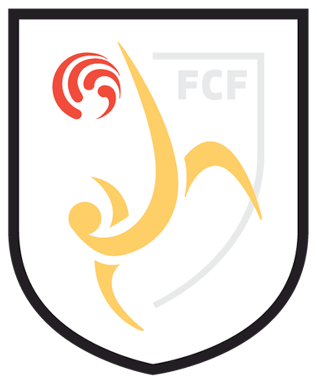 Royal Dutch Football Association - Wikipedia