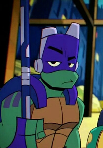 Donatello as depicted in Rise of the Teenage Mutant Ninja Turtles