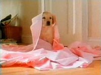 The Andrex Puppy, seen here in a British advertisement from 1994. Andrex puppy (1994 advert).jpg