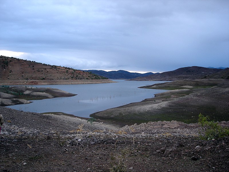 File:Cogoti dam.jpg