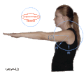 System of reference, example 1 Eshkol-Wachman Movement Notation SoR example 1.gif