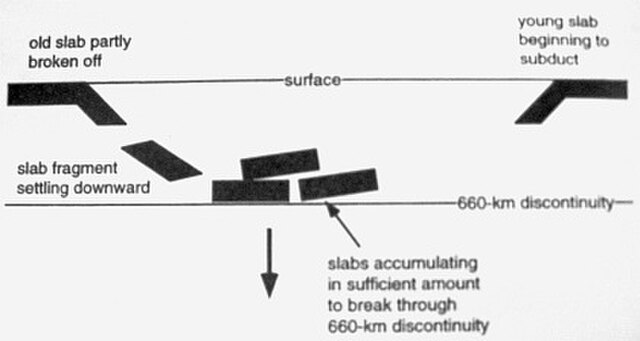 As the slab is subducted into the mantle, the more dense material will break off and sink to the lower mantle creating a discontinuity elsewhere known