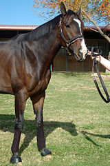 Lava Man at NexStar farm in Temecula, CA. LavaManTemeculaFarm2008.jpg