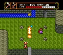 The basic gameplay of Neutopia, which shows off the fire rod weapon. Neutopia gameplay.jpg