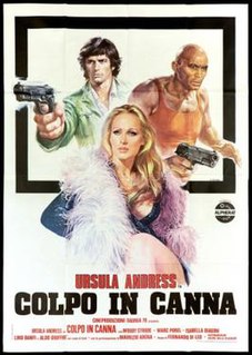 Loaded Guns is a 1975 Italian crime film.