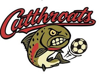 <span class="mw-page-title-main">Northern Colorado Cutthroats</span> Soccer club