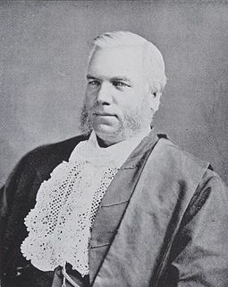 <span class="mw-page-title-main">William Milne (politician)</span> Australian politician