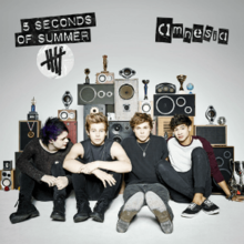 Amnesia 5 Seconds Of Summer Song Wikipedia