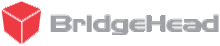 BridgeHead Software logo.gif