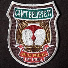 Can't Believe It (Flo Rida song) - Wikipedia