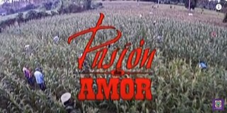 <i>Pasión de Amor</i> (Philippine TV series) 2015 Philippine romantic drama teleserye