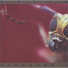 Scavengers (album) .jpg