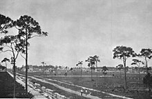 Progress of Fellsmere Farms in 1912