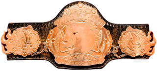 <span class="mw-page-title-main">High Speed Championship</span> Professional wrestling womens championship