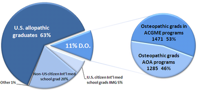 Sources of the 24,012 medical school graduates entering US physician training programs in 2004 NewDocsTraining.PNG