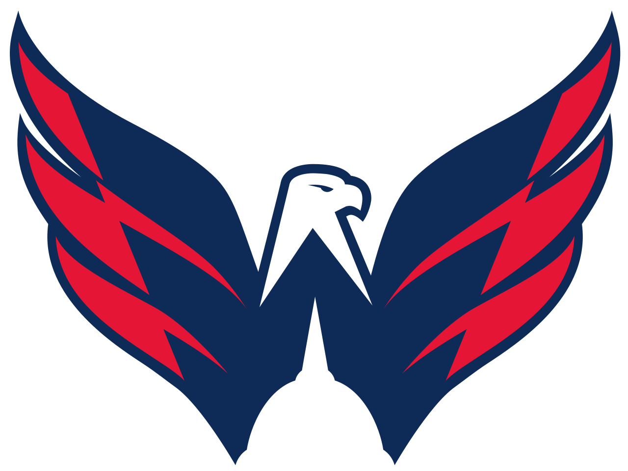 Image result for washington capitals logo