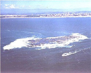 <span class="mw-page-title-main">Ilha dos Lobos</span> Island and wildlife refuge in Rio Grande do Sul, Brazil