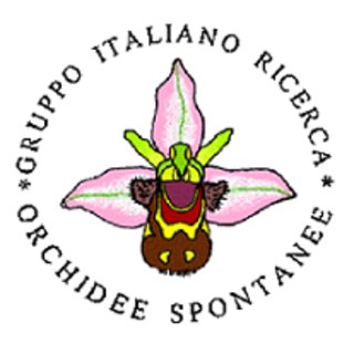 Italian Group for Research on Hardy Orchid