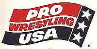 Pro Wrestling USA logosu