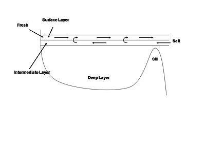 A simplified model of estuarine circulation in a silled basin. Depicted here is a three-layered body of water which has been further simplified in the article by combining the intermediate and deep layers. FjordCirculation.JPG