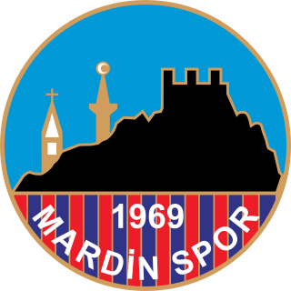 <span class="mw-page-title-main">Mardinspor</span> Turkish football club