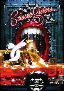 Scissor Sisters - We Are Scissor Sisters ... Ve Sen de Sen DVD cover.jpg