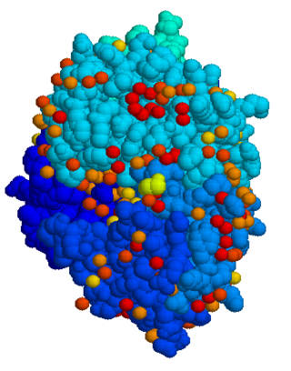 <span class="mw-page-title-main">Hepatoerythropoietic porphyria</span> Medical condition