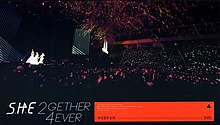 2gether 4ever Concert Live.jpg