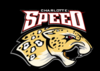 Логотип Carolina Speed