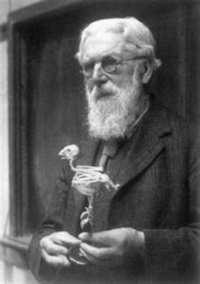 <span class="mw-page-title-main">D'Arcy Wentworth Thompson</span> Scottish biologist, mathematician, and classics scholar