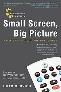 <i>Small Screen, Big Picture</i> book by Chad Gervich