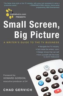 Small Screen Big Picture Book Cover.jpeg