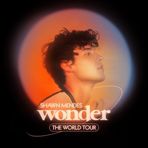 Wonder: The World Tour