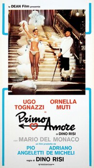 <i>First Love</i> (1978 film) 1978 Italian film