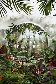 <i>The Green Planet</i> (TV series) 2022 British nature documentary television series on plants